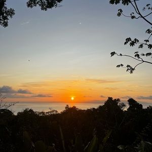 Meet your Posher, Eliana